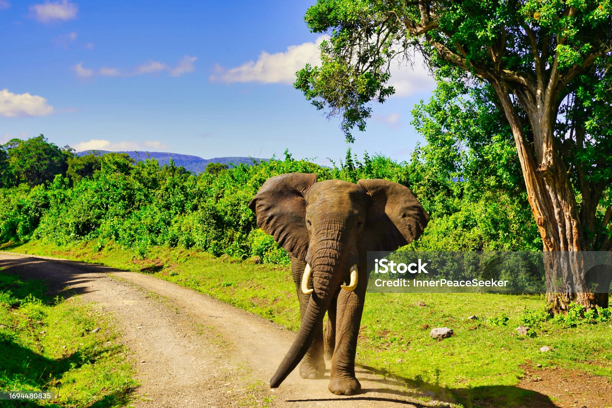 15 Day Classic Kenya Tours